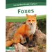 Foxes