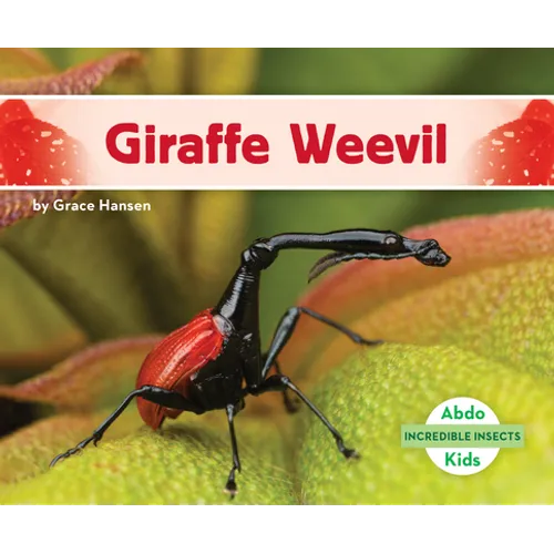 Giraffe Weevil
