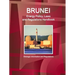 Brunei Energy Policy, Laws and Regulations Handbook - Strategic Information and Regulations
