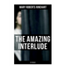 The Amazing Interlude (Spy Thriller): Spy Mystery Novel