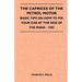 The Caprices Of The Petrol Motor - Basic Tips On How To Fix Your Car At The Side Of The Road - 1902
