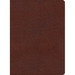 KJV Study Bible, Large Print Edition, Brown Bonded Leather