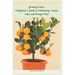 Growing Citrus: A Beginner's Guide to Cultivating Lemon, Lime, and Orange Trees