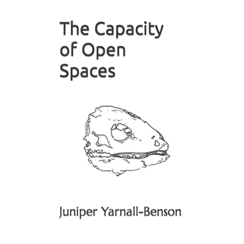 The Capacity of Open Spaces
