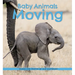 Baby Animals Moving