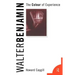 Walter Benjamin: The Colour of Experience