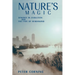 Nature's Magic: Synergy in Evolution and the Fate of Humankind