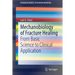Mechanobiology of Fracture Healing: From Basic Science to Clinical Application