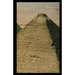 The Pyramids of Egypt