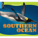 Southern Ocean
