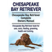 Chesapeake Bay Retriever. Chesapeake Bay Retriever Complete Owners Manual. Chesapeake Bay Retriever book for care, costs, feeding, grooming, health an
