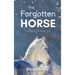 The Forgotten Horse - Book 1 in the Connemara Horse Adventure Series for Kids The Perfect Gift for Children