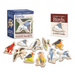 Extremely Accurate Birds Wooden Magnet Set: 10 Anatomically Precise Magnets
