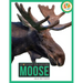 Moose