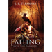 Last Light Falling - Into The Darkness, Book II
