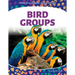 Bird Groups