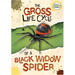 The Gross Life Cycle of a Black Widow Spider
