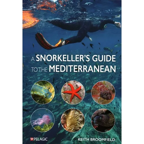 Snorkeller's Guide to the Mediterranean: A Photographic Id Guide to the Most Commonly Encountered Marine Species