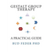 Gestalt Group Therapy: A Practical Guide: Second Edition