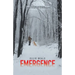 Emergence