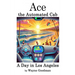 Ace, the Automated Cab