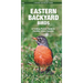 Eastern Backyard Birds: An Introduction to Familiar Urban Species