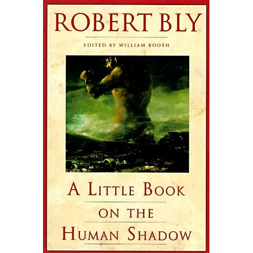 A Little Book on the Human Shadow