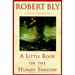 A Little Book on the Human Shadow