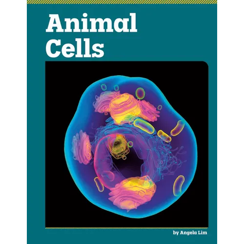 Animal Cells