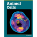 Animal Cells