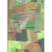 HARTHILL VILLAGE A search for its original settlement site