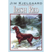 Irish Red