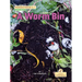 A Worm Bin