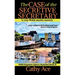 The Case of the Secretive Secretary: A WISE Enquiries Agency cozy Welsh murder mystery
