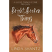 Bright, Broken Things: Good Things Come Book 0.5 (A Prequel)
