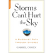 The Storms Can't Hurt the Sky: The Buddhist Path through Divorce