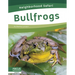 Bullfrogs
