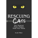Rescuing CATS: The Musical That's Better Than You Think