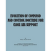 Evolution of Command and Control Doctrine for Close Air Support