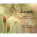 Lesedi die kleine Elfe und das große Licht