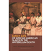 Daily Life of African American Slaves in the Antebellum South