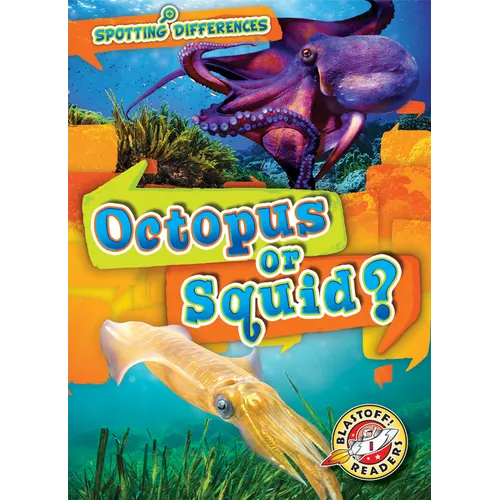 Octopus or Squid?