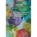 Reimagining Radical Democracy in the Global South