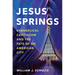 Jesus Springs: Evangelical Capitalism and the Fate of an American City