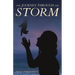The Journey Through the Storm