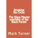 Breaking the Cycle: The Slave Master mentality of the Black Parent