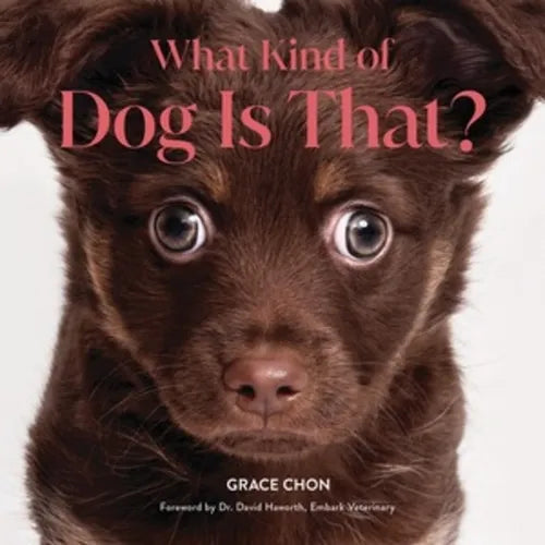 What Kind of Dog Is That?
