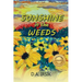 Sunshine In The Weeds
