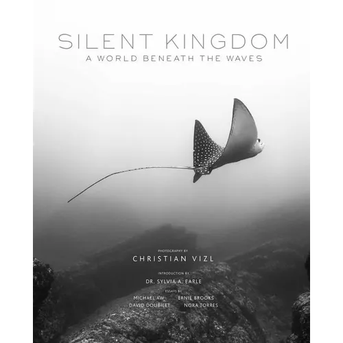 Silent Kingdom: A World Beneath the Waves