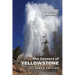 The Geysers of Yellowstone: Sixth Edition